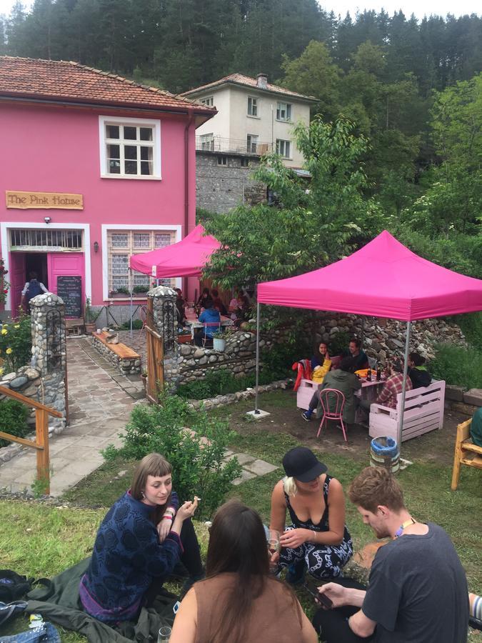 ホテル The Pink House Polkovnik Serafimovo エクステリア 写真