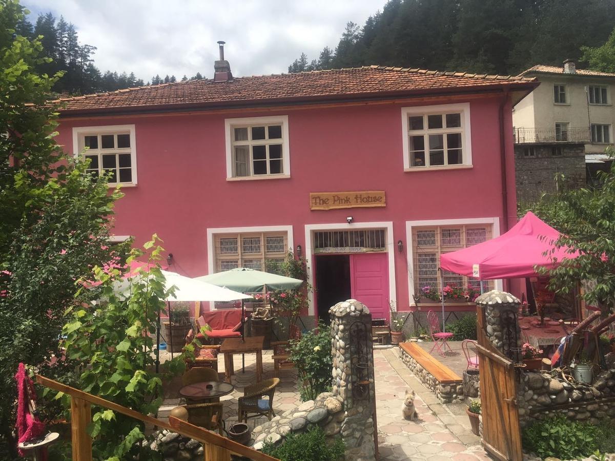 ホテル The Pink House Polkovnik Serafimovo エクステリア 写真