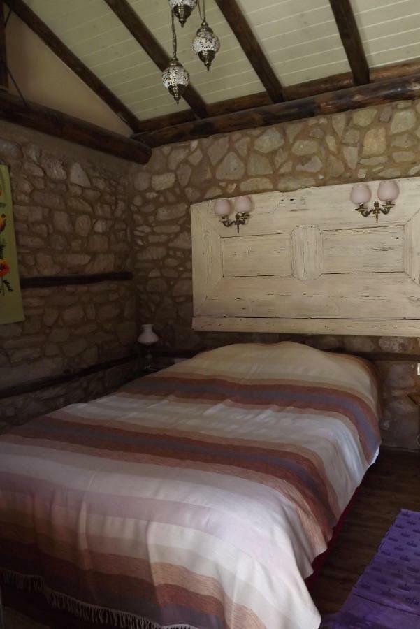 ホテル The Pink House Polkovnik Serafimovo エクステリア 写真